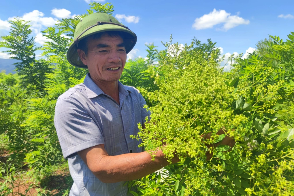 điều trị cao huyết áp