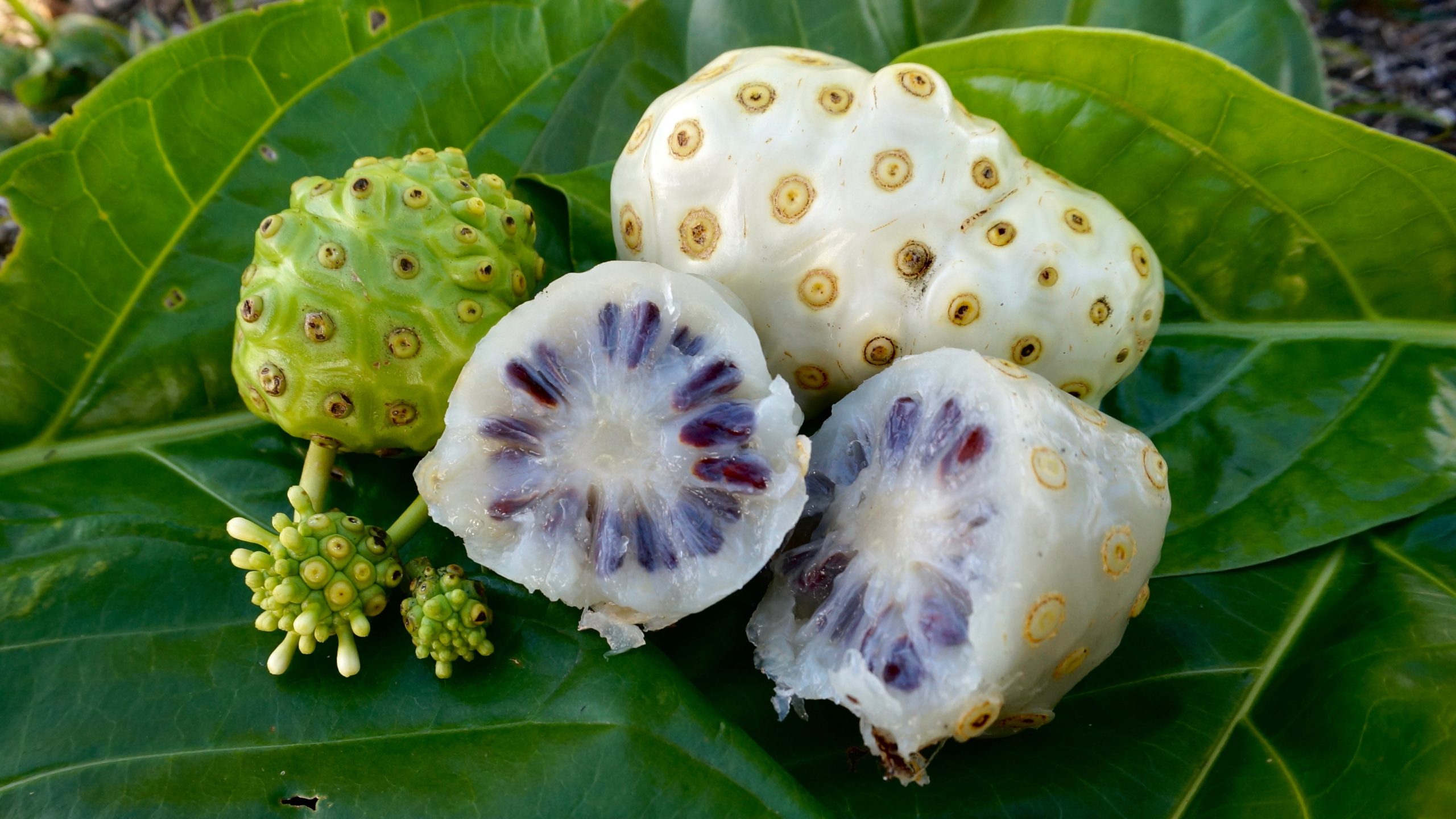 giảm đau chống viêm