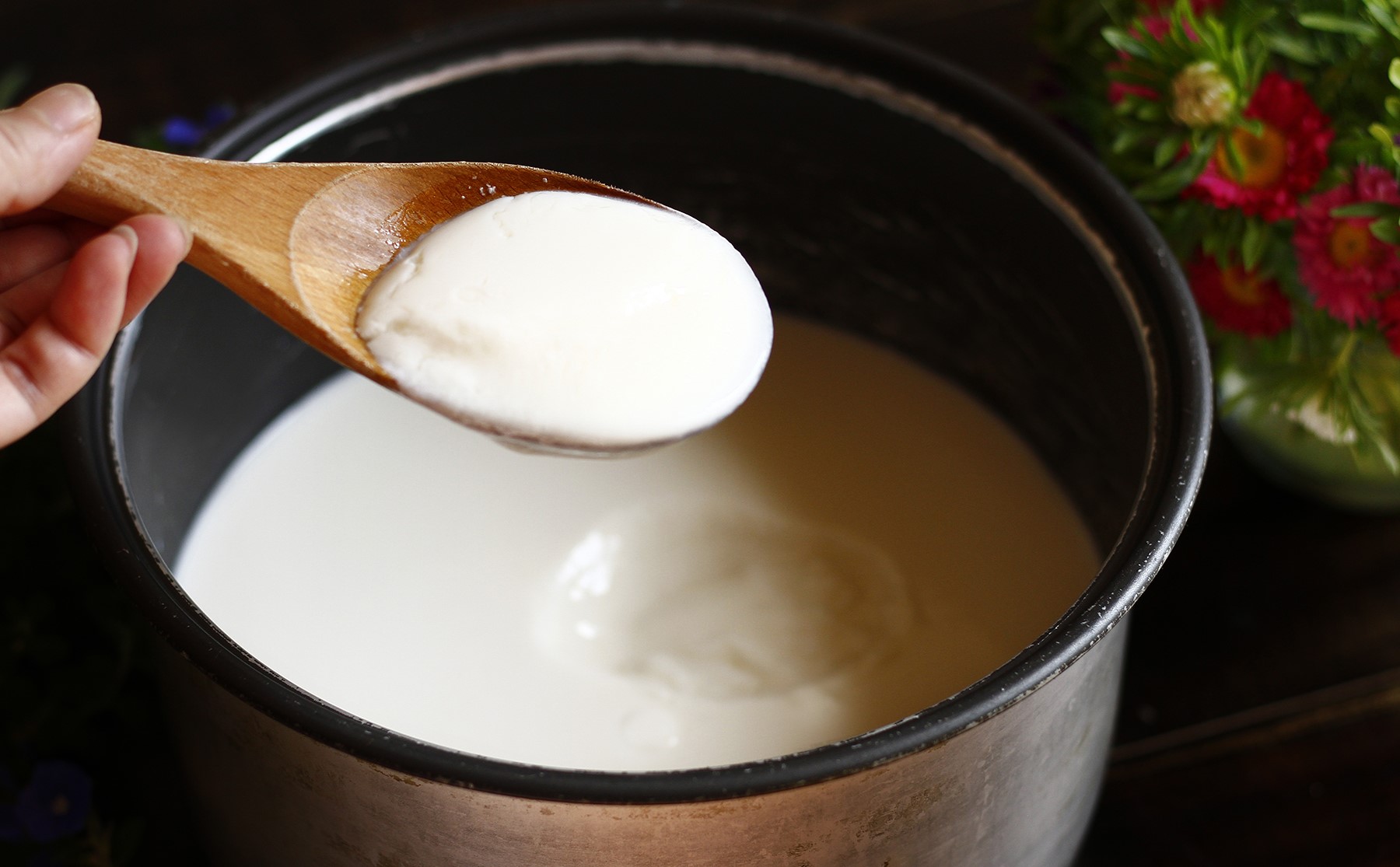 Cách làm sữa chua cốm dẻo