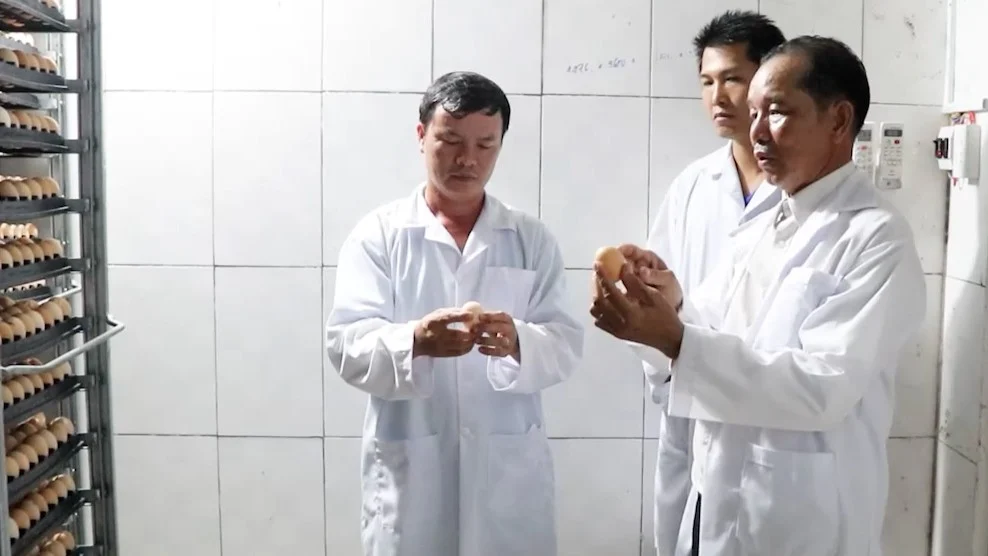 cách chọn