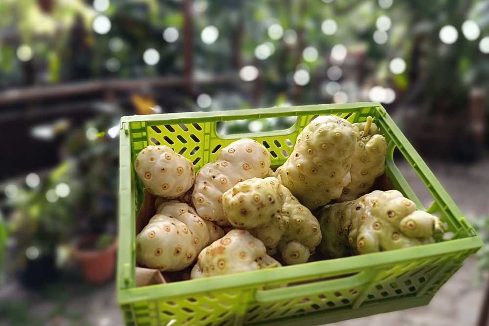 kiểm soát huyết áp