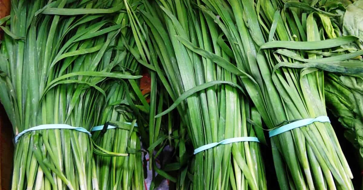 tác dụng đối với sức khỏe