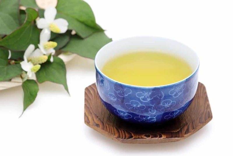 trà diếp cá có tác dụng gì