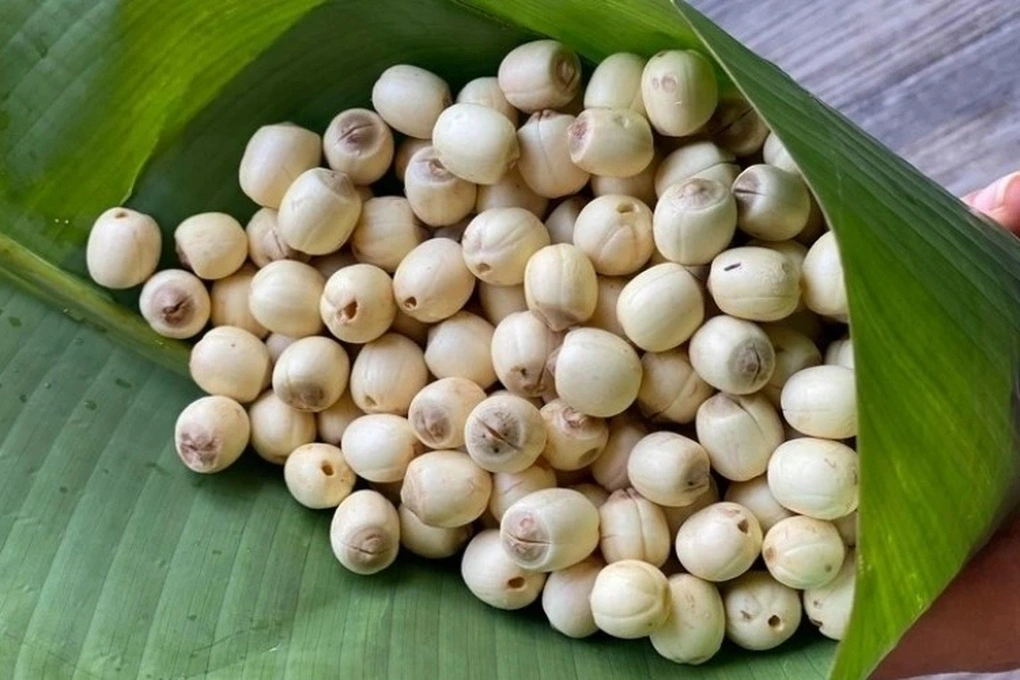 tác dụng của hạt sen tươi