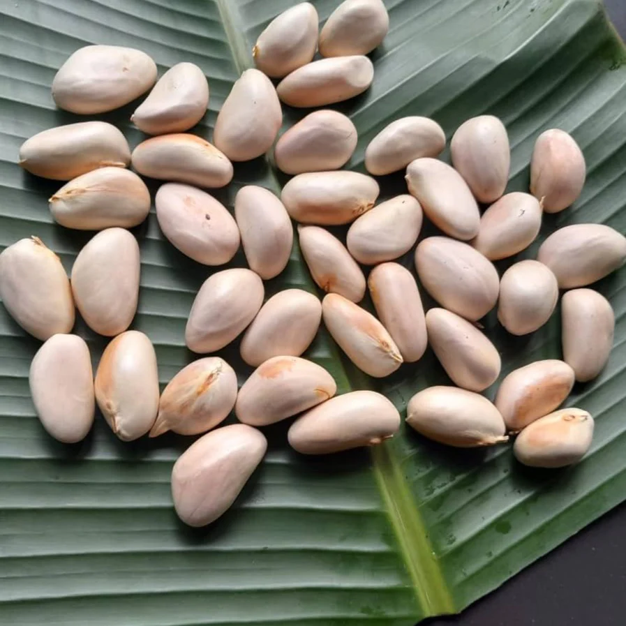 4. Những lưu ý khi ăn hạt mít luộc