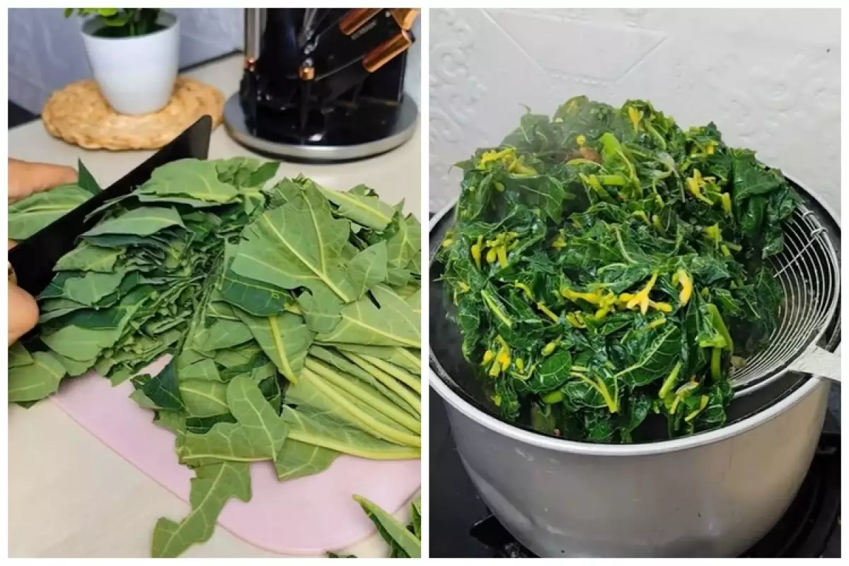 công dụng của lá đu đủ