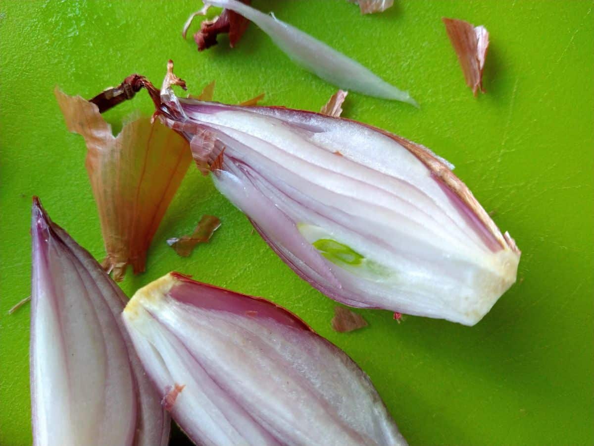 Hành tím mọc mầm có ăn được không