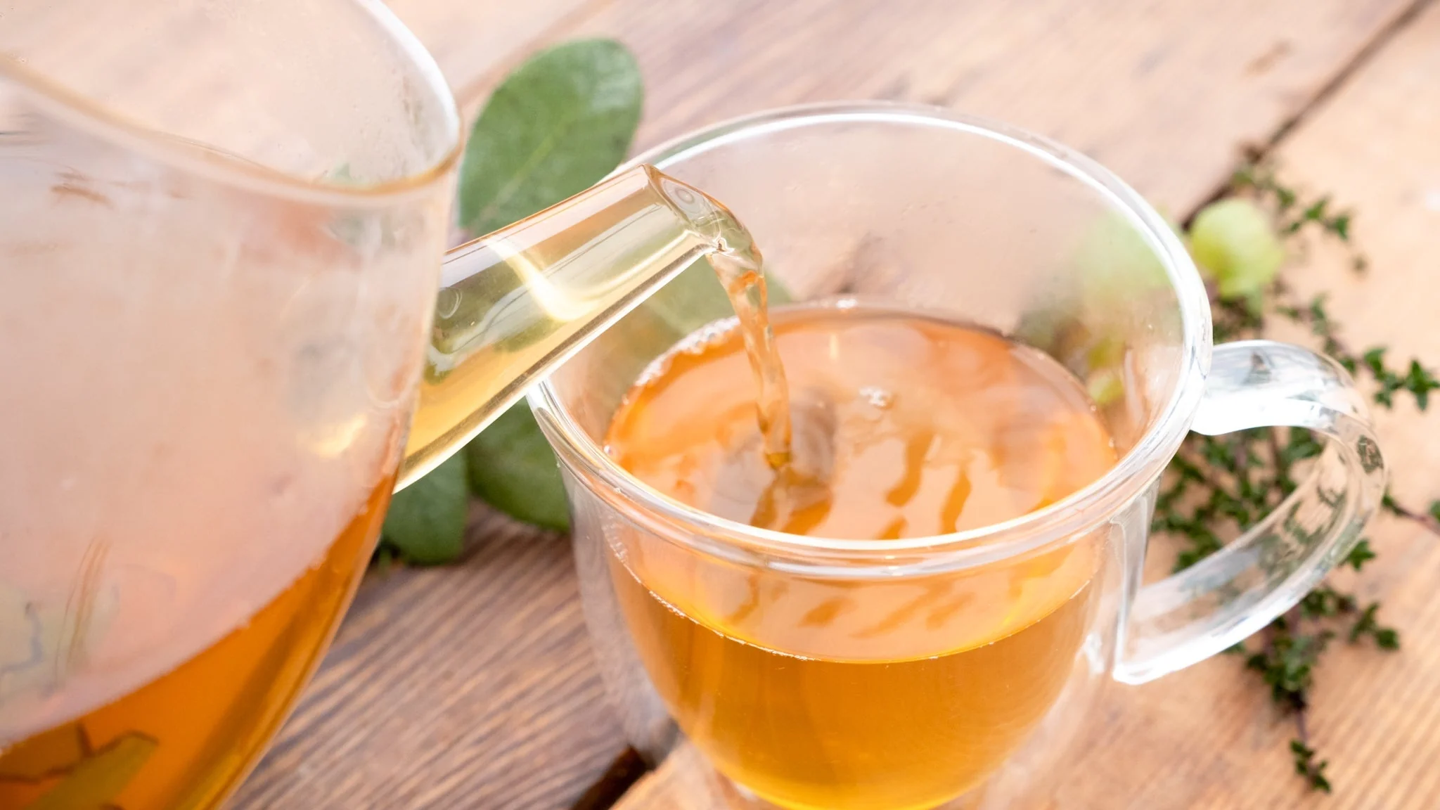 vỏ hạt sen có tác dụng gì