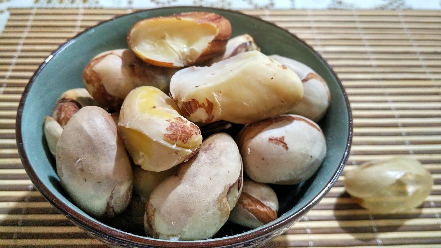 ăn hạt mít luộc có tác dụng gì