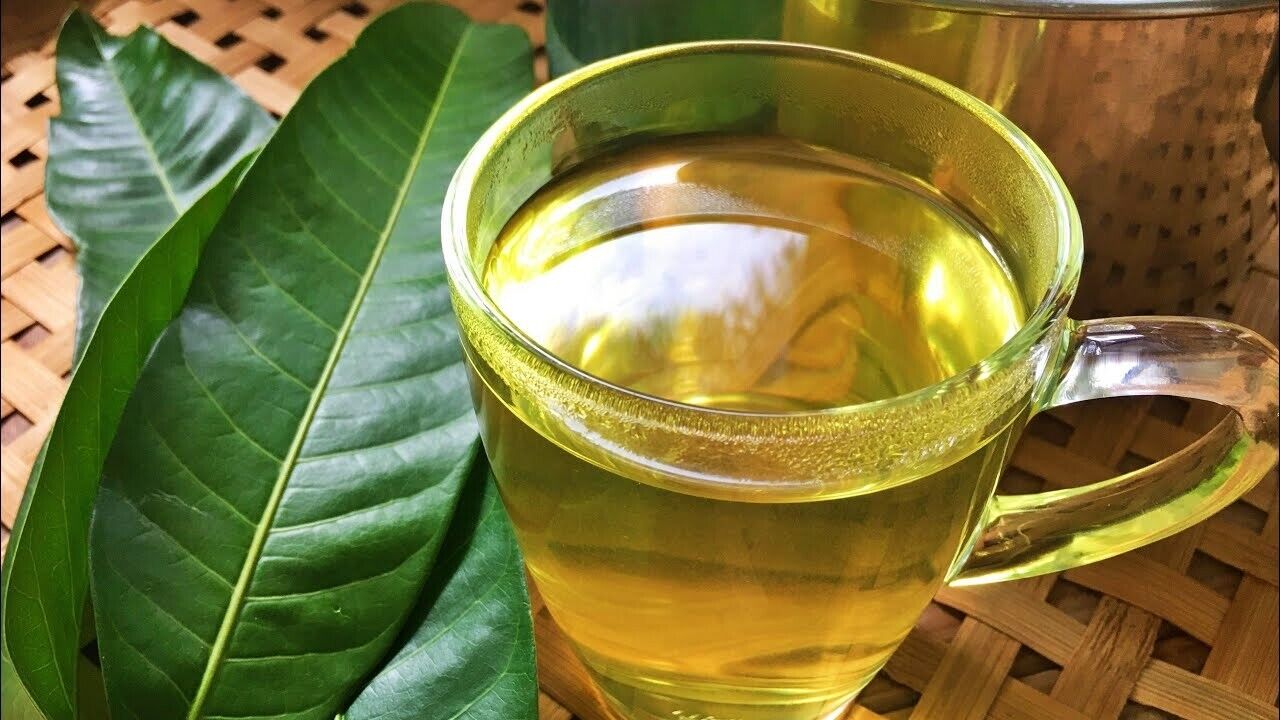 công dụng của lá xoài