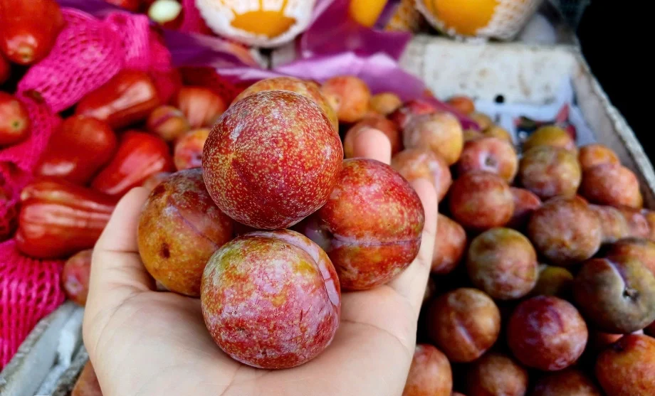 mận ngâm rượu được không