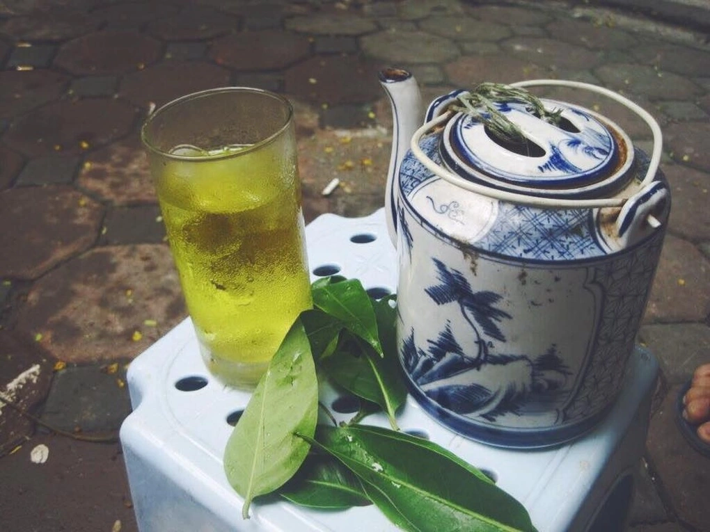 uống nước lá vối có tác dụng gì