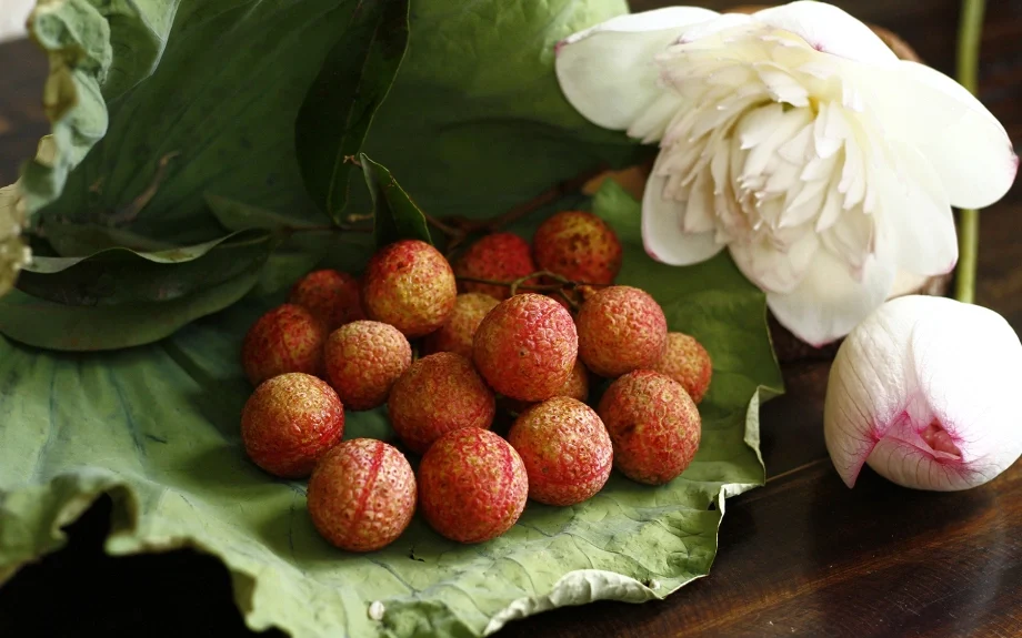 bệnh vải thiều ở người