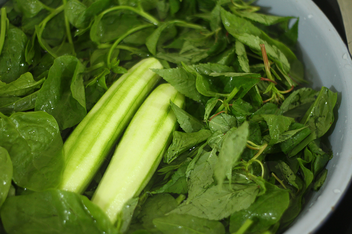 rau mướp